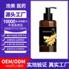 Shampoo Personalizado Controle de Oleosidade Gengibre Limpeza Profunda Calmante Ervas Hidratante Gengibre Fofo Limpeza Oem