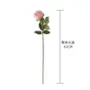 Austin Hidratante Rosa Manualidades Flores Artificiales Fabricante Flores Falsas Plantas Verdes Venta al por Mayor Decoración de Bodas Transfronterizo