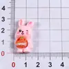 Acessórios de resina de animais de desenho animado para projetos DIY: adequado para tamancos, chaveiros, garrafas de água, elásticos de cabelo, presilhas de cabelo, capas de celular e bolsas