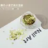 Lantejoulas Brilhantes Mini Estrela Coração para Nail Art 1mm Estrela de Cinco Pontas Brilhante Bolinha Pequena Redonda Enfeites DIY para Unhas