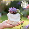 Vaso de flor criativo em formato de músculo, vaso engraçado de suculenta com abs de homem macho, ornamento único de decoração de planta verde para mesa