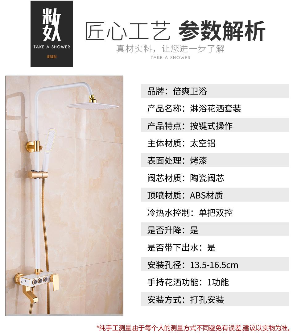 陈家中白金款_09-1