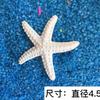 Estrela do mar de resina para decoração de aquário em estilo mediterrâneo
