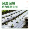 Filme de cobertura morta branco isolamento filme de cobertura morta branco espessado estufa filme plástico preto plantio de vegetais plantio agrícola filme plástico de engenharia