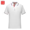 Roupas de trabalho Camisa polo logotipo personalizado camisa cultural camisa publicitária manga curta lapela camiseta roupas de trabalho impressão personalizada bordado