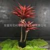 Planta de Simulação Sala de Estar Vasos Chão Janela Decoração Paisagem Interna Decoração Sisal Agave Verde Vermelho de Simulação