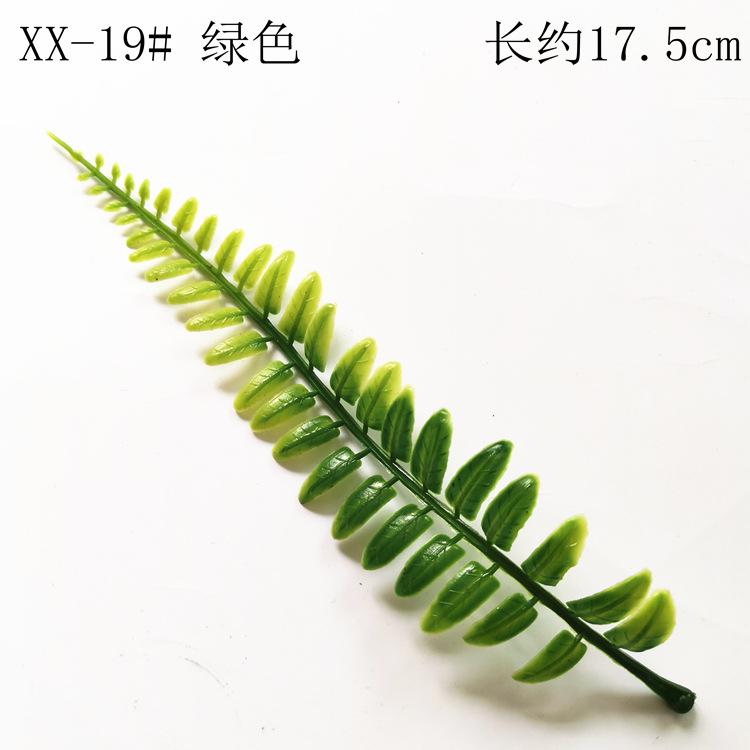 XX-19# 绿色】.jpg