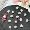 Nuevo Paquete de Materiales para Joyería de Arte de Uñas Rosa Claro con Brillo Fino, Flor de Peonía de Resina, Accesorios para Arte de Uñas, Decoraciones Luminosas para Arte de Uñas