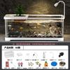 Acuario Seleccionado Cuidadosamente, Acuario Pequeño para Peces Dorados para Sala de Estar, Acuario de Escritorio Ecológico Completo, Tortuguera de Oficina con Tapa