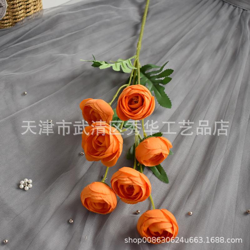 7头茶玫桔色1