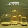 Cubierta de Vidrio Luminosa Cubierta Antipolvo DIY Adornos Decorativos de Escritorio Flor Eterna Flor Seca Transparente Cubierta de Vidrio Micro Paisaje