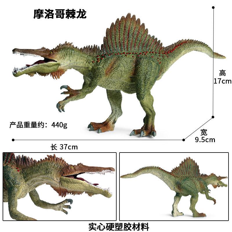 摩洛哥