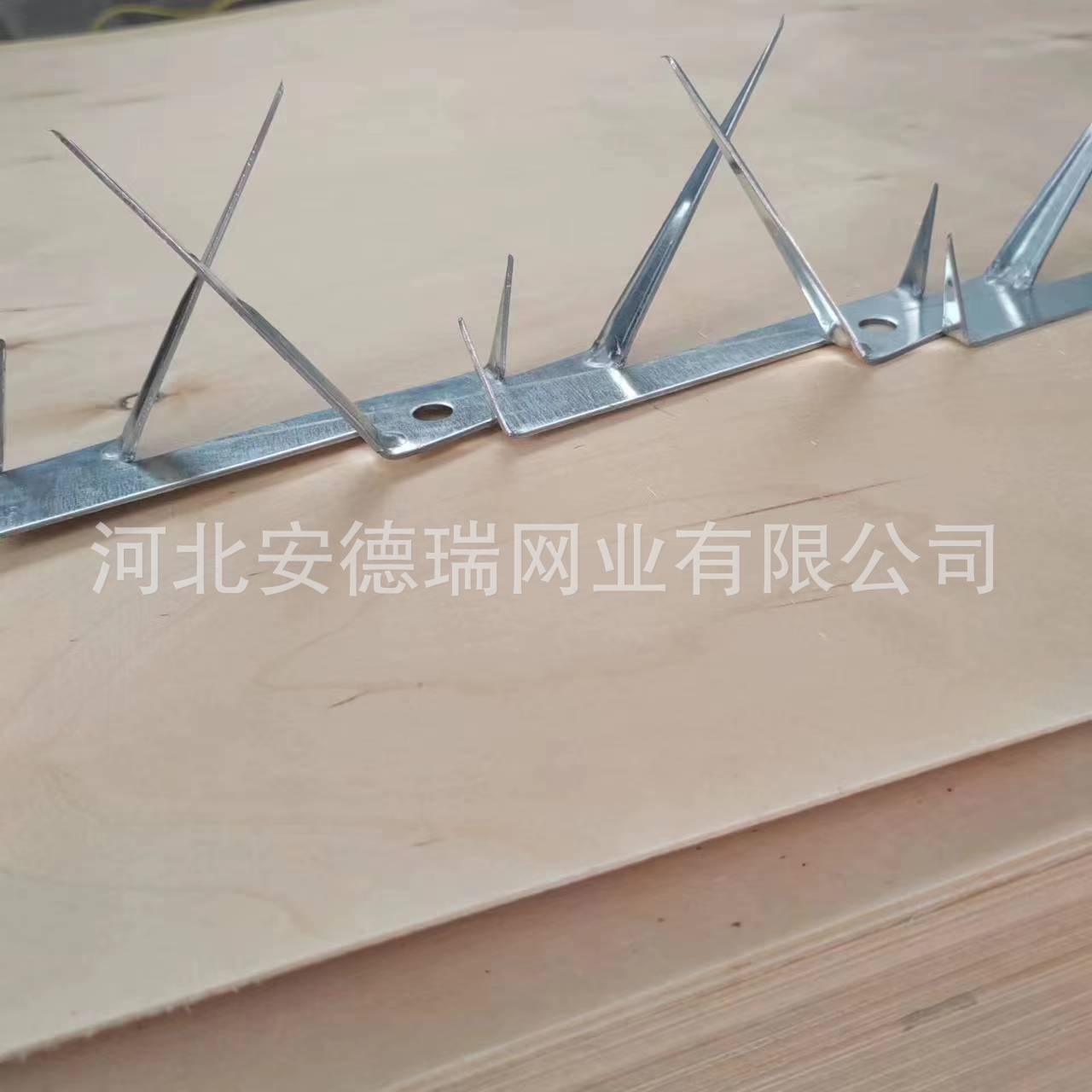 微信图片_20240805165807.jpg