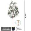 Temu Transfronteiriço Especializado em Plantas Verdes Simuladas, Plantas de Oliveira em Vasos, Sala de Estar Doméstica, Árvores Decorativas Falsas Grandes para Interior, Árvores Simuladas