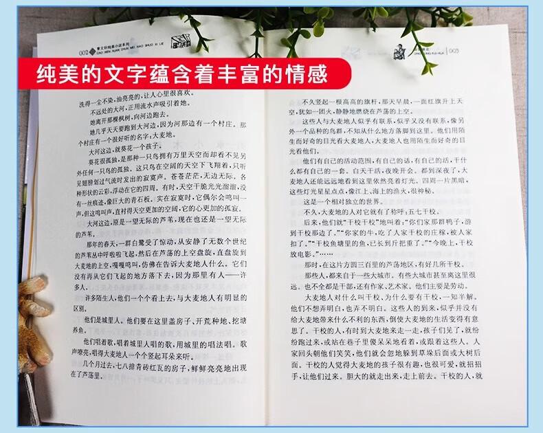 d774143240b2d55f.jpg