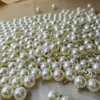 Suministro Directo de Fábrica Pendientes Largos con Colgante de Perla de Alto Brillo que No Pierden Pelusa Pendientes Largos Broche Joyería Estilo Coreano Accesorios Ligeros de Lujo