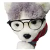 Muñeca de algodón de 20 cm hermana JK juguete gafas de gatito y cachorro de doble rayo de metal accesorios para fotos espejo decorativo para mascotas tendencia