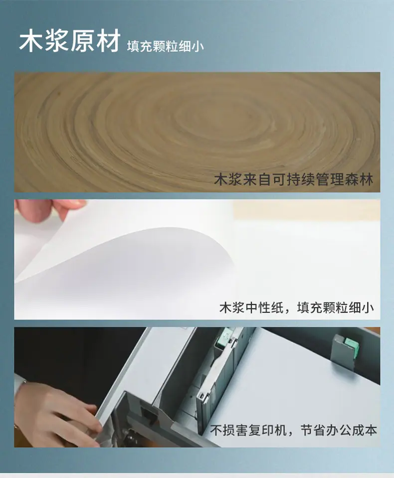 纸业_07.jpg
