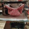 Bolsa de mel musaranho quente camada dupla sanduíche rede pequena rede para animal de estimação pendurado esquilo saco de dormir suprimentos para animais de estimação rede