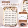 Extensiones de Pestañas Originales Lindas en Nuevo Estilo Chino, Serie Zorro Coral, Naturales Realistas, Esquinas Alargadas del Ojo, Pestañas Amigables para Principiantes