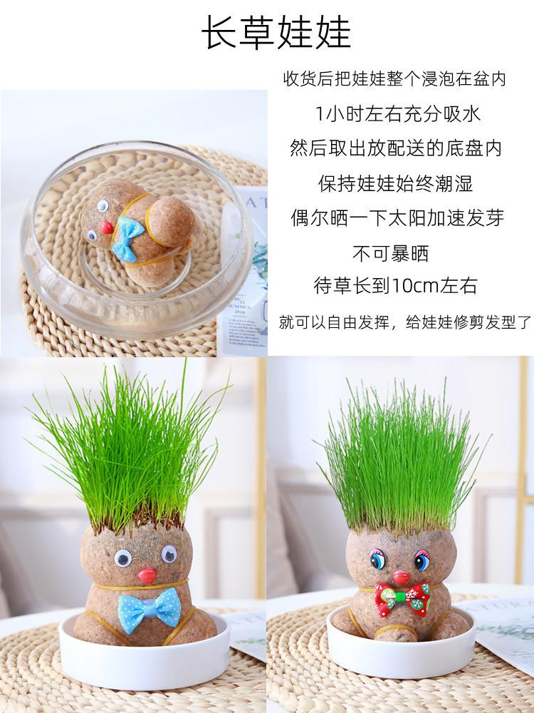 复制_diy创意草头娃娃绿植桌面水培儿童好养长.jpg