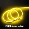 Fita de LED de Silicone Neon 220V Transfronteiriça à Prova d'Água para Exterior Flexível Circular Iluminação de Teto para Sala de Estar Teto Projeto Luzes de Atmosfera