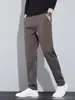 Pantalones Ligeros Versátiles de Negocios Casual para Hombre de Lyocell, Nuevos para Primavera y Otoño, Pantalones de Moda Sueltos Simples y Versátiles