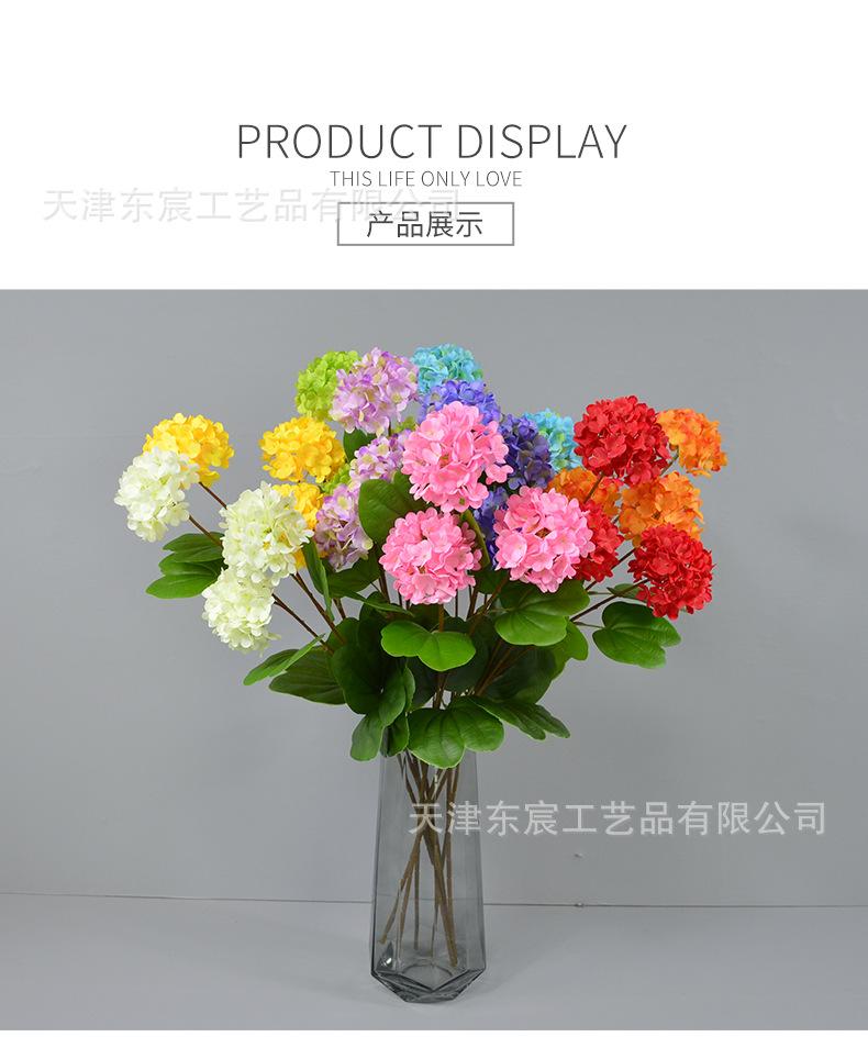详情_12.png