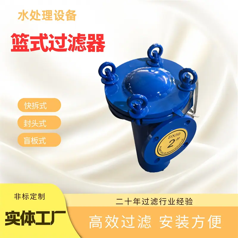 篮式过滤器 (25)