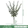 Plantas Verdes Simuladas Eucalipto Flor Simulada Ramo de Hojas de Eucalipto Adornos de Decoración para el Hogar Atrezzo de Hoja de Dinero Artificial Venta al por Mayor