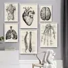 Análise de Explosões Transfronteiriças de Várias Partes de Órgãos e Ossos Humanos Pintura em Tela de Poster Pintura de Decoração Moderna para Casa Núcleo