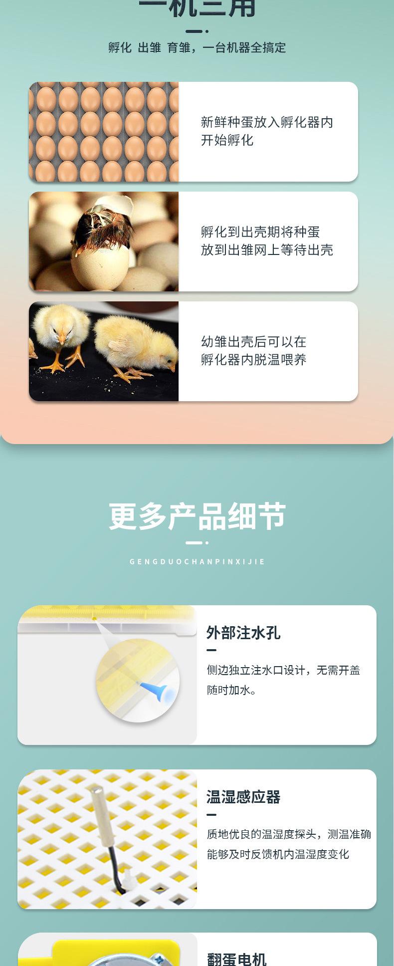 孵化器（已修改）_09