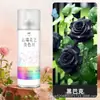 Tinta Spray que Muda de Cor para Flores em Estoque para Arte Floral e Floriculturas, Tinta Spray Autosspray em Azul Gelo e Agente Spray Colorido na Cor Ameixa