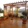 Soporte de Flores de Madera Anticorrosión Personalizado por el Fabricante, Estructura de Trepa para Patio Exterior, Enrejado de Uvas para Pasillo Cultural Escolar