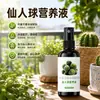 Solución Nutritiva Especial para Enraizamiento de Cactus Fertilizante Mejora del Color Fertilización Suculentas Anti-Marchitamiento Planta en Maceta Fertilizante Líquido Propósito General