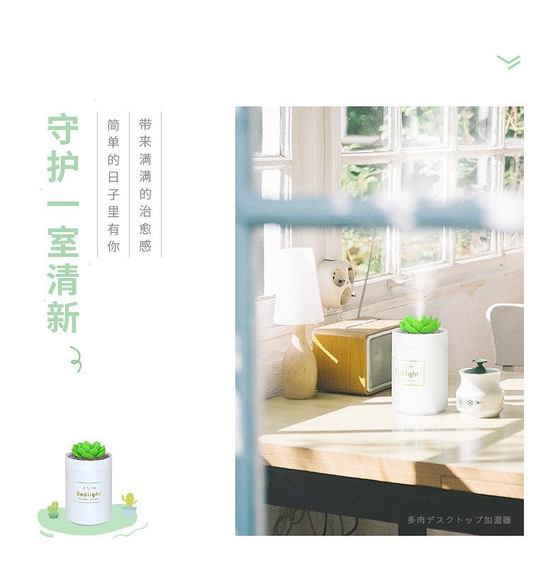 多肉加湿器_03.jpg