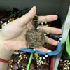 Tallado de Madera de Caqui Negro Personaje Pixiu Calabaza Tortuga Dragón Bolsa de la Suerte Colgante Adorno para Colgar en el Coche Artesanía de Madera Pieza de Mano para Té