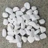 Suministros de Horticultura Tierra Nutritiva Solución Nutritiva Rey del Fertilizante Grande Atomizador Grava de Arcilla Ladrillo de Fibra de Coco Flores Plantas Potos Fertilizante General