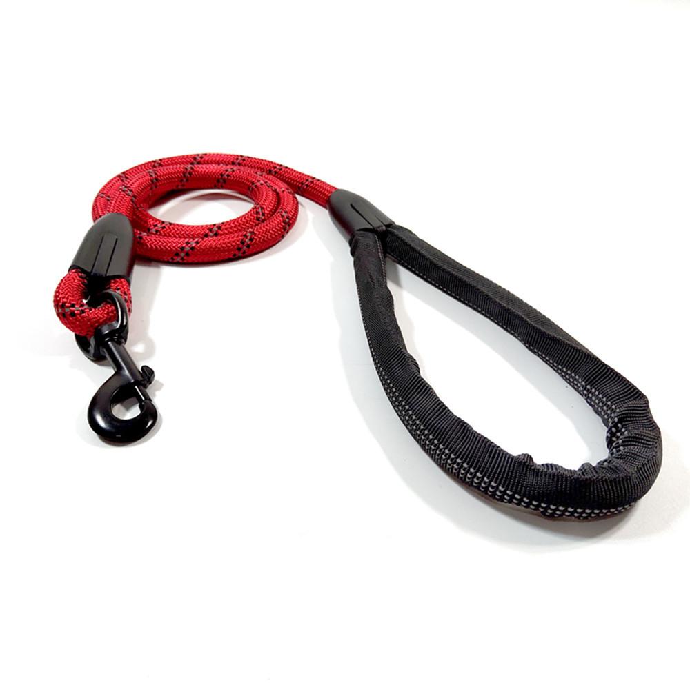 IMG_20190725_122301_副本