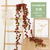 Enredadera de Rosas Artificiales de Amazon Transfronteriza con 45 Cabezas de Flores de Doble Color, Enredadera de Peonías para Cubrir Áreas Desagradables, Decoración Suave para Aire Acondicionado