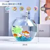 Aquário Tanque de Vidro Pequeno para Escritório Aquário para Peixes Pequenos Vidro Transparente Espessado Tartaruga Casa Desktop Redondo Paisagismo Xiaojueqin