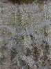 Novo Tecido Bordado com Malha Elástica 3+3mm Padrão Concavo de Pele de Cobra Moda Vestido Superfície Bordada com Lantejoulas de Designer de Luxo
