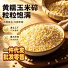 Nuevos Productos de Granja Maíz Amarillo Pegajoso Maíz Pegajoso Mezcla de Cinco Granos para Cocinar Gachas Arroz Guisado Directo del Fabricante Venta al por Mayor y al por Menor