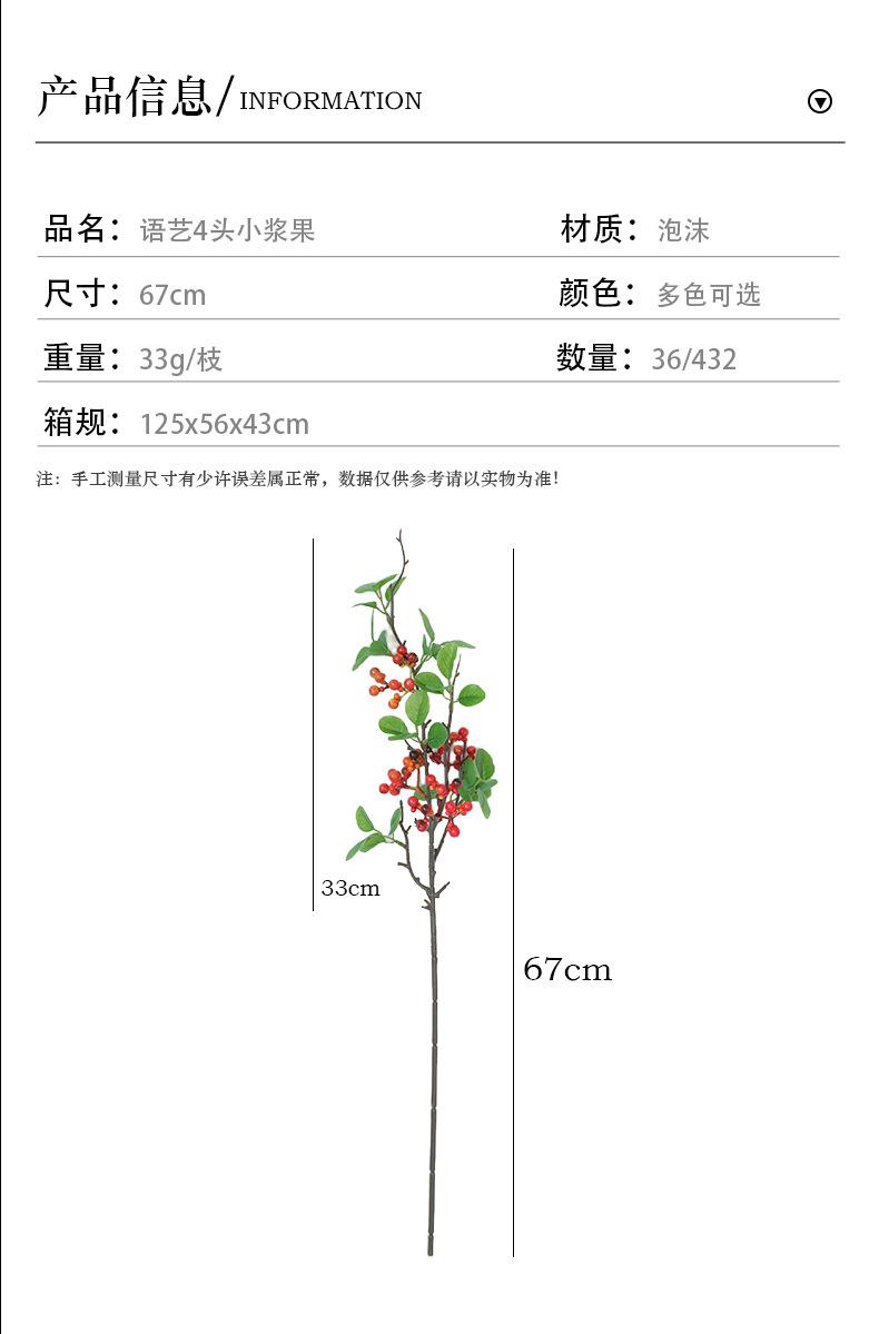 长枝2叉浆果_03