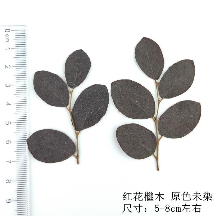 IMG20190127113029.jpg