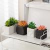 Macetas de Cerámica Modernas Simples para Suculentas Adornos Creativos Transfronterizos Jarrones Pequeños Sala de Estar Hogar Escritorio Plantas Verdes Plantas Pequeñas en Maceta