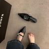 Zapatos de Mujer de Tacón Grueso Cerrados sin Cordones Estilo Nuevo Primavera y Otoño 2026 Punta Fina Mary Jane Plateados