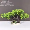 Decoração de Enfeite de Mesa Pinheiro Bem-vindo Pequeno Pinheiro Plantas Verdes Plantas Aquáticas Mini Rochedo Aquário Paisagismo Hotel