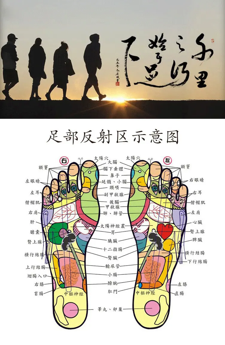 XHS207鞋护士-七分进口牛皮鞋  垫-_02