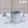 Artículos Varios de Jardinería: Maceta de Hierro Estilo Vintage, Regadera Estilo Ins, Maceta para Plantas Suculentas Decoración de Interior de Arte en Hierro